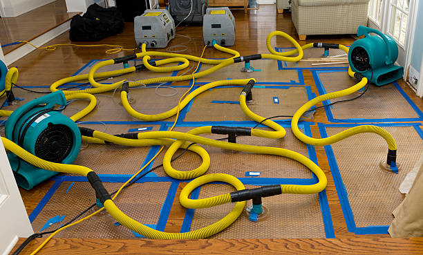Professional Sewage Cleanup technician working in Conroe, TX